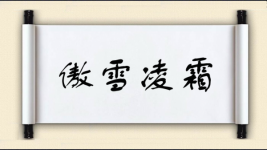 傲雪凌霜