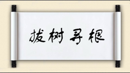 拔树寻根