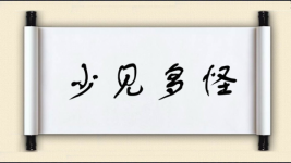 少见多怪对对子 少见多怪对对子图片