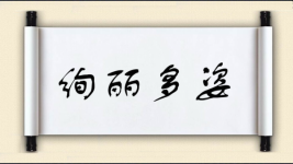 绚丽多姿对对子 绚丽多姿对对子图片